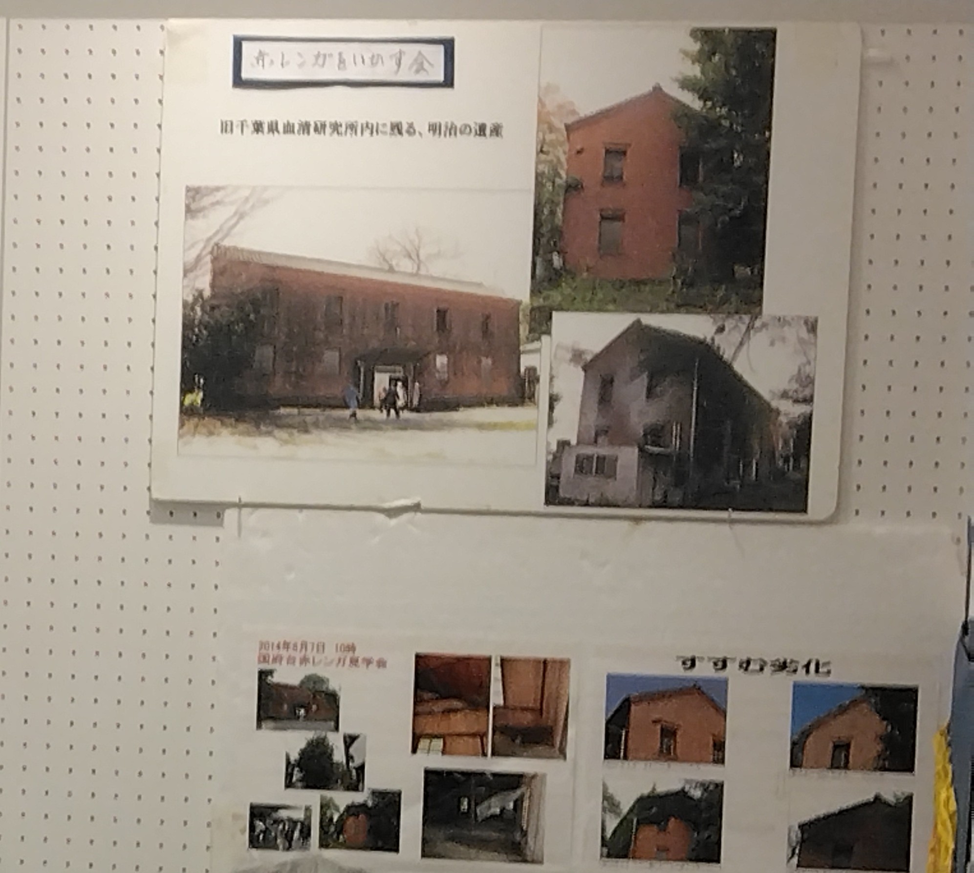 展示画像